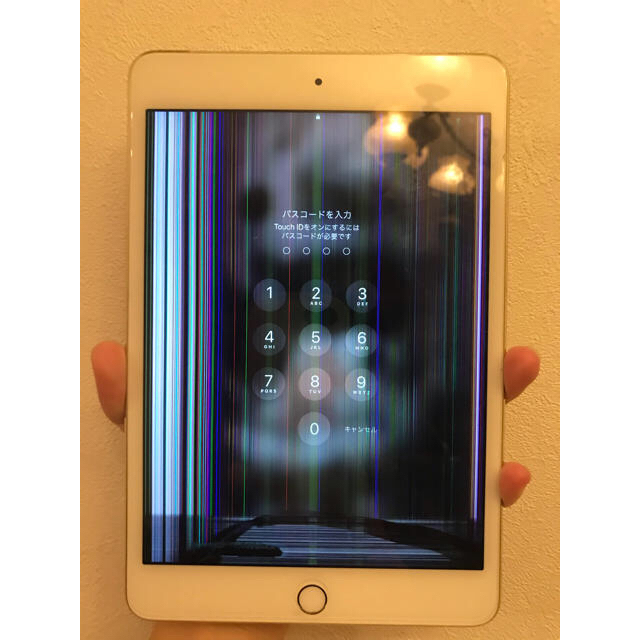 iPad mini 4 SIMフリー