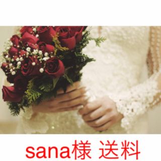 sana様 送料1000円(ロングドレス)