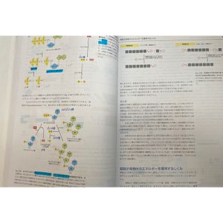 the cell 細胞の分子生物学 第6版 the cell 細胞の分子生物学 第6版