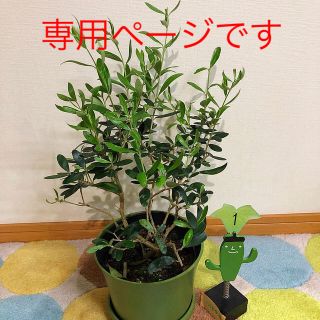 専用ページです(その他)