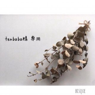 tenbaba様 専用(その他)