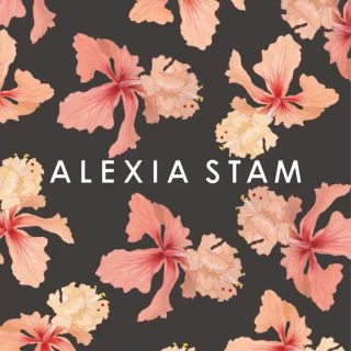 アリシアスタン(ALEXIA STAM)のakaaari様専用(その他)