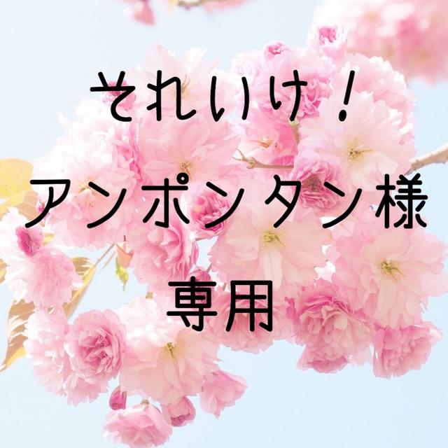 それいけ！アンポンタン様専用 お米 令和元年 愛媛県産松山三井 玄米 30㎏の通販 by 兵頭産業's shop｜ラクマ