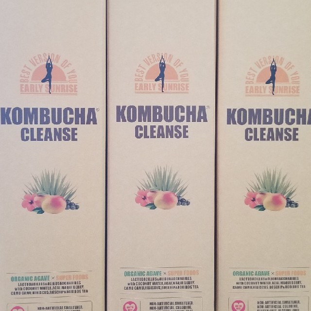 こんぶちゃ KOMBUCHA CLEANSE (最大8本まで)