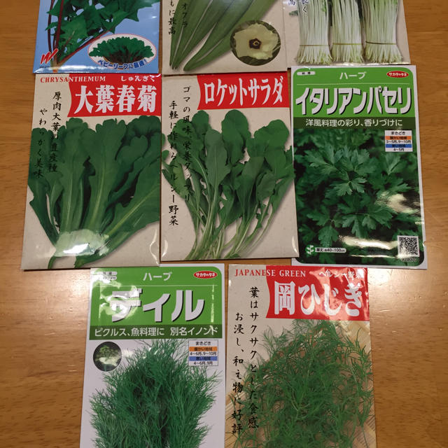 野菜の種 6種類 家庭菜園 食品/飲料/酒の食品(野菜)の商品写真