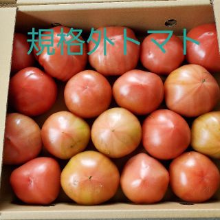 規格外トマト　熊本県産　四キロ入り(野菜)