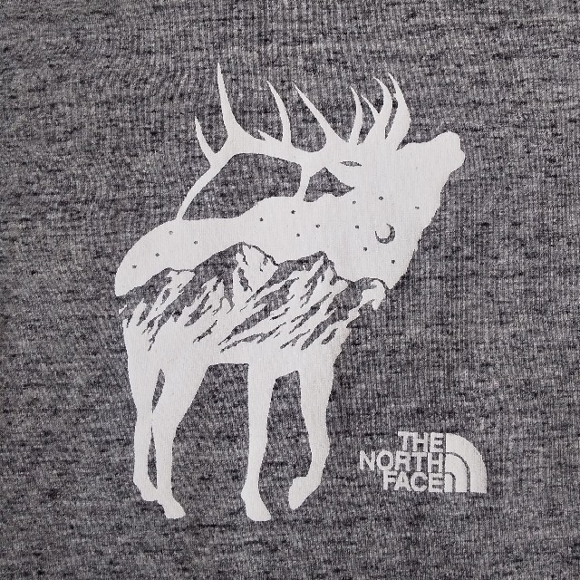THE NORTH FACE(ザノースフェイス)のTHE NORTH FACE Tシャツ レディースSサイズ レディースのトップス(Tシャツ(半袖/袖なし))の商品写真