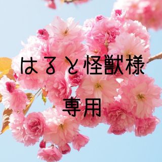 はると怪獣様専用　お米　令和元年　愛媛県産松山三井　玄米　20㎏(米/穀物)
