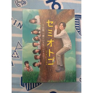 ヘイセイジャンプ(Hey! Say! JUMP)のセミオトコ　Blu-ray　BOX Blu-ray(TVドラマ)