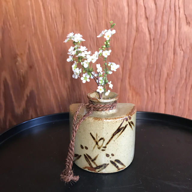 値下げ 千趣会の花器の通販 By 愛犬はタロー Shop ラクマ 値下げ 千趣会の花器の通販 By 愛犬はタロー Shop ラクマ