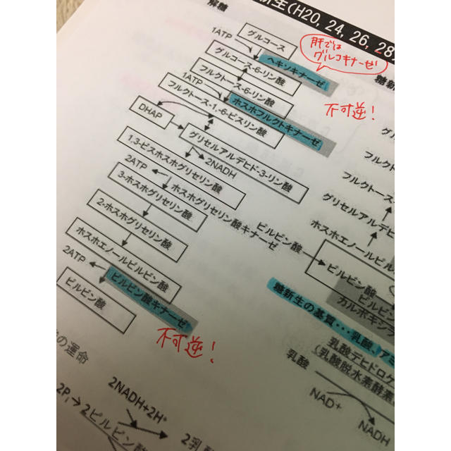 北大まとめ(令和元年度) CBT対策などにもどうぞの通販 by えみ's 北大まとめ(令和元年度) CBT対策などにもどうぞの通販 by えみ's