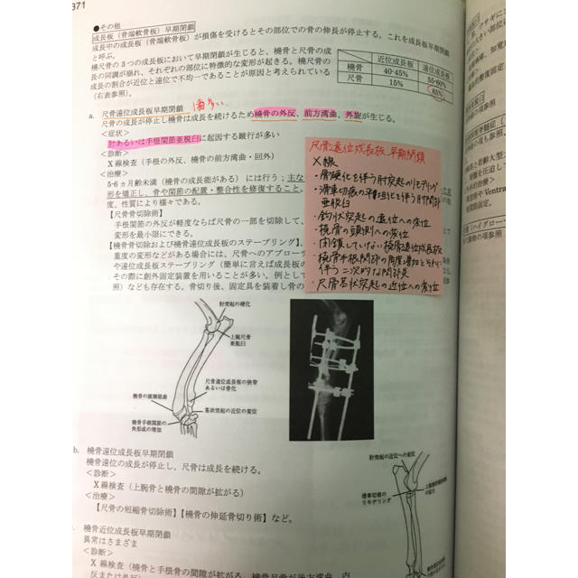 北大まとめ(令和元年度) CBT対策などにもどうぞの通販 by えみ's 北大まとめ(令和元年度) CBT対策などにもどうぞの通販 by えみ's