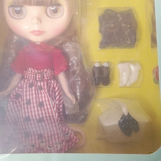 ブライス ピクニックアルフレスコ ハンドメイドのぬいぐるみ/人形(人形)の商品写真