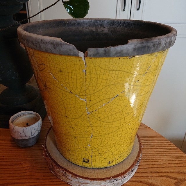 DOMANI HANOI24 yellow

 インテリア/住まい/日用品のインテリア小物(花瓶)の商品写真
