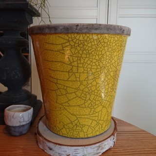 DOMANI HANOI24 yellow

(花瓶)