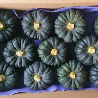 黒皮かぼちゃ、5キロ、熊本産(野菜)