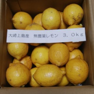 広島県大崎上島産無農薬レモン3.0kg(フルーツ)