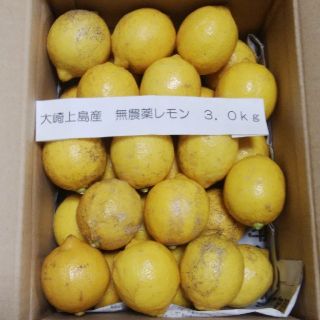 広島県大崎上島産無農薬レモン3.0kg(フルーツ)