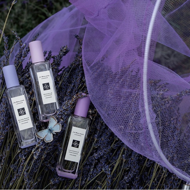 Jo Malone(ジョーマローン)のmA様専用 コスメ/美容の香水(香水(女性用))の商品写真