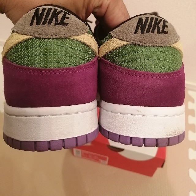 NIKE DUNK LOW SP VIOTECH　crazy  dunk