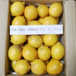 広島県大崎上島産無農薬レモン3.0kg(フルーツ)