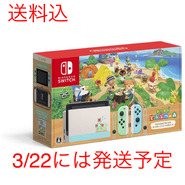 Nintendo Switch どうぶつの森