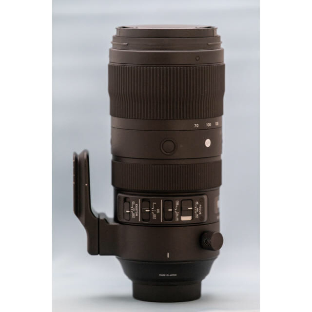 SIGMA 70-200mm F2.8 + Nikon D850
