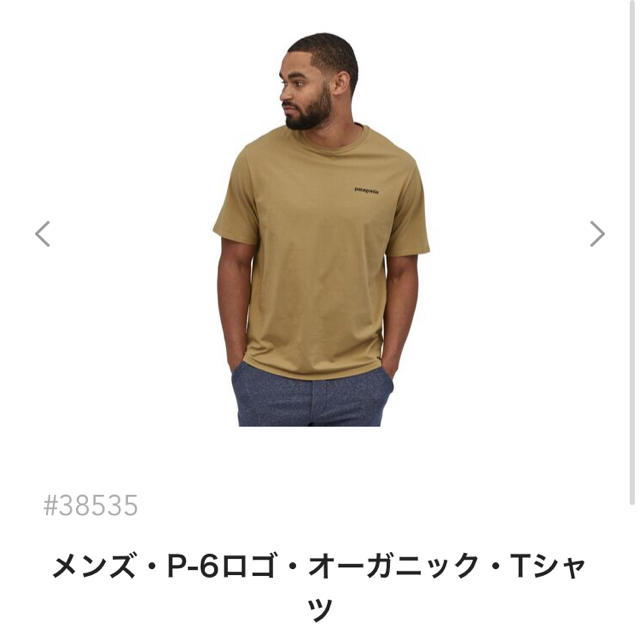 patagonia(パタゴニア)の本日発送！新品　Patagonia オーガニック　Tシャツ メンズのトップス(Tシャツ/カットソー(半袖/袖なし))の商品写真