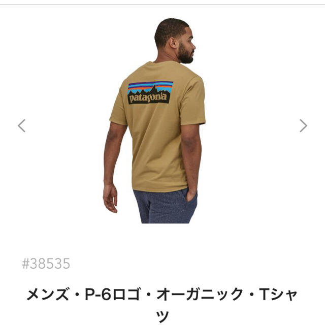 patagonia(パタゴニア)の本日発送！新品　Patagonia オーガニック　Tシャツ メンズのトップス(Tシャツ/カットソー(半袖/袖なし))の商品写真