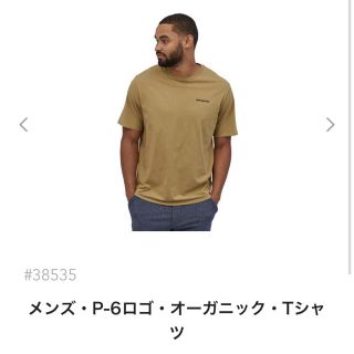 パタゴニア(patagonia)の本日発送！新品 p-6 ロゴ クラシック タン Tシャツ(Tシャツ/カットソー(半袖/袖なし))