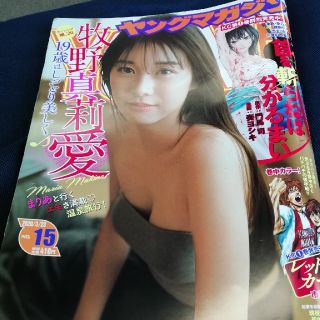 ヤングマガジン15


(漫画雑誌)