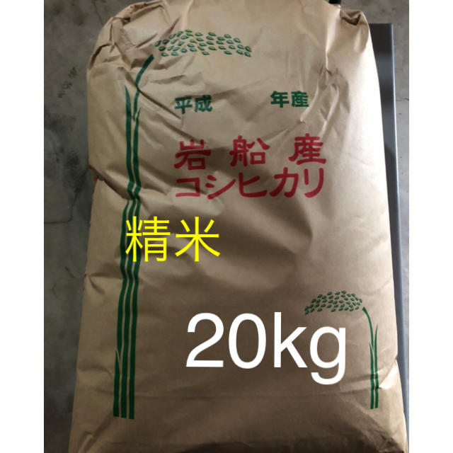 20kg　新米】【数量限定】　米/穀物　新潟　岩船産コシヒカリ