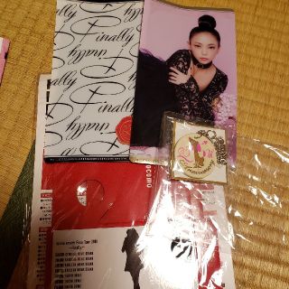 安室奈美恵　東京ドーム　ファイナルコンサート　グッズ(女性タレント)