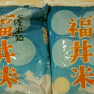 お米10kg(米/穀物)