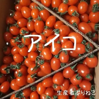  みかん☆様専用 アイコ2kg 花鳥風月500g ピュア500g ミニトマト(野菜)