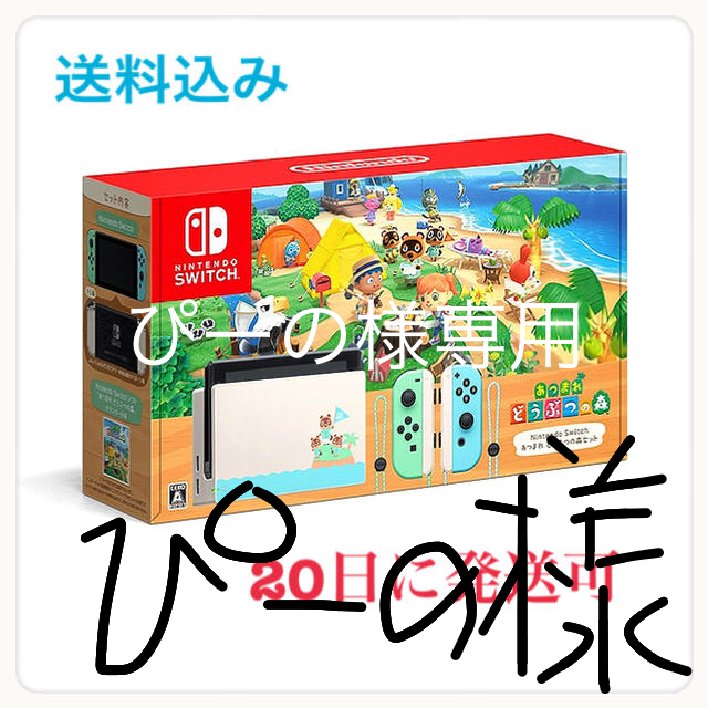 1個Joy-ConNintendo Switch あつまれ　どうぶつの森セット