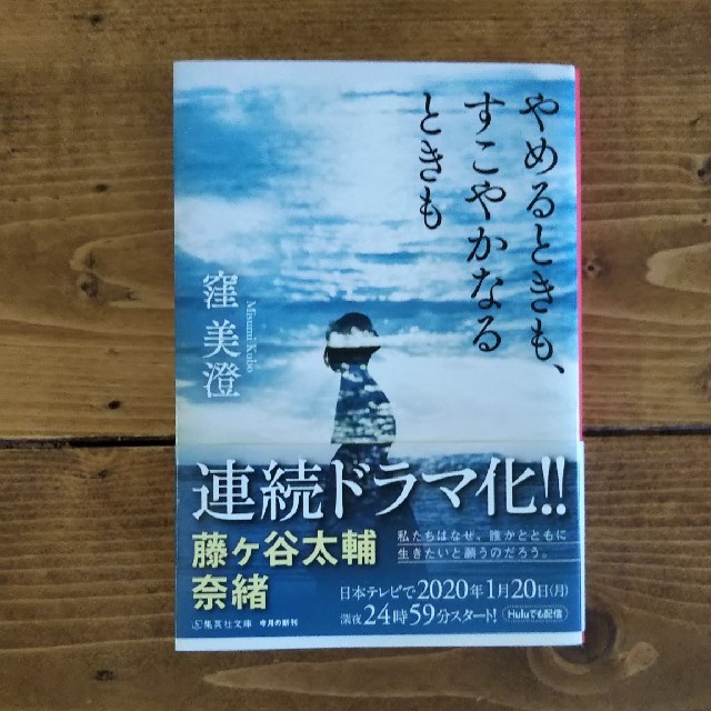 文庫 やめるときもすこやかなるときも エンタメ/ホビーの本(文学/小説)の商品写真