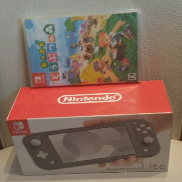 どうぶつの森とスイッチライト本体グレーのセット