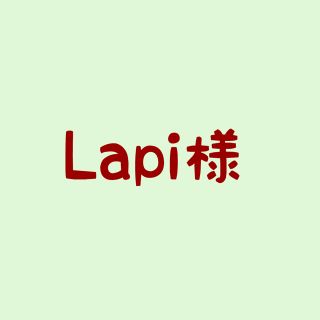 Ꮮapi様　確認用(その他)