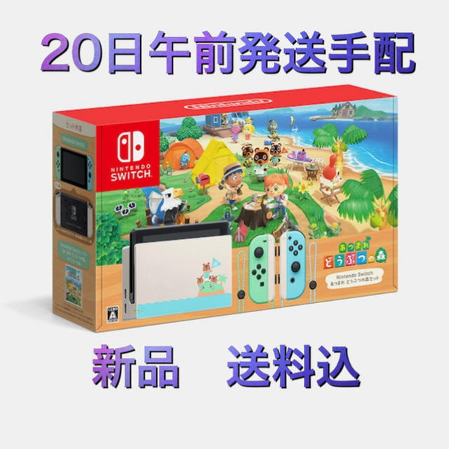 Nintendo Switch あつまれ どうぶつの森セット/Switch/HA家庭用ゲーム機本体