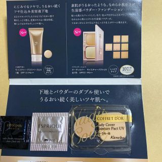 コフレドール(COFFRET D'OR)のコフレドール　ヌーディーカバーモイスチャーパクトUV(ファンデーション)