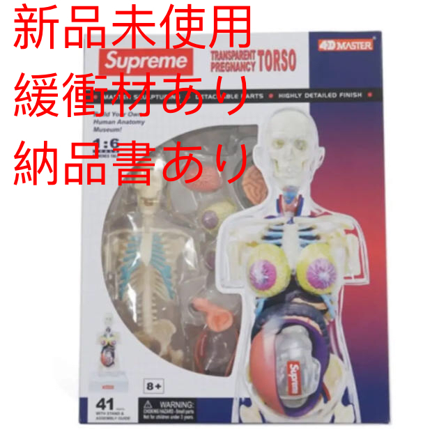 おもちゃ/ぬいぐるみsupreme female anatomy model