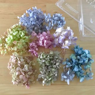 プリザーブドフラワー 花材 紫陽花 詰め合わせ 大箱/ブルーパープル+バラおまけ(プリザーブドフラワー)