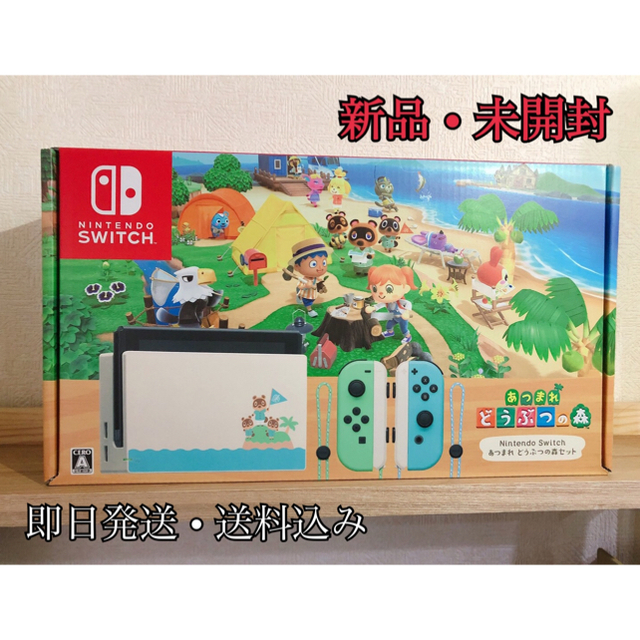 1個Joy-Conグリップあつまれどうぶつの森セット　Nintendo Switch 本体同梱版