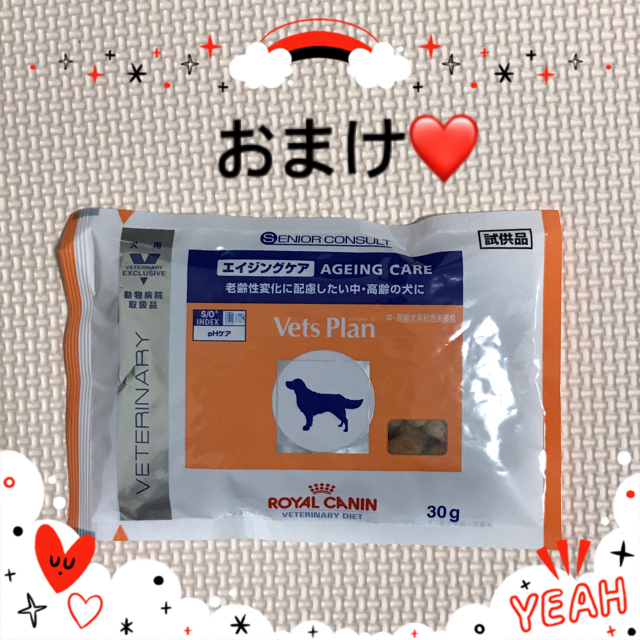 犬のおやつ　おまけ付き その他のペット用品(ペットフード)の商品写真