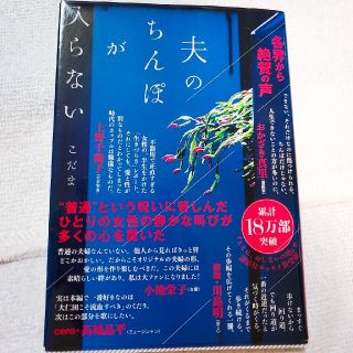 夫のちんぽが入らない(文学/小説)