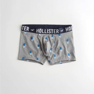 ホリスター(Hollister)のホリスターボクサーパンツ(ボクサーパンツ)