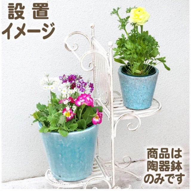 【観葉植物　7号鉢】ガーデニング　インテリア ハンドメイドのフラワー/ガーデン(プランター)の商品写真