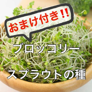 【超豪華おまけ付き‼️有機種子】ブロッコリースプラウト種 10ml オーガニック(野菜)