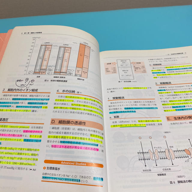 61%OFF!】 標準理学療法学 作業療法学